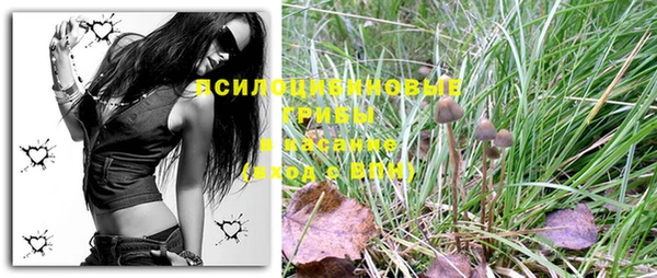 PSILOCYBIN Алексеевка