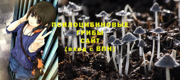 твердый Алексин