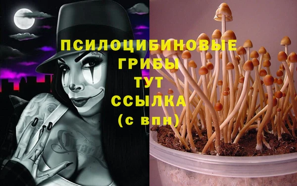 дживик Алзамай